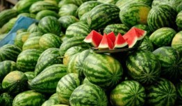 各种吃瓜网红,揭秘网络红人的美食世界