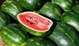 美国华人网红吃瓜,吃瓜背后的故事与真相